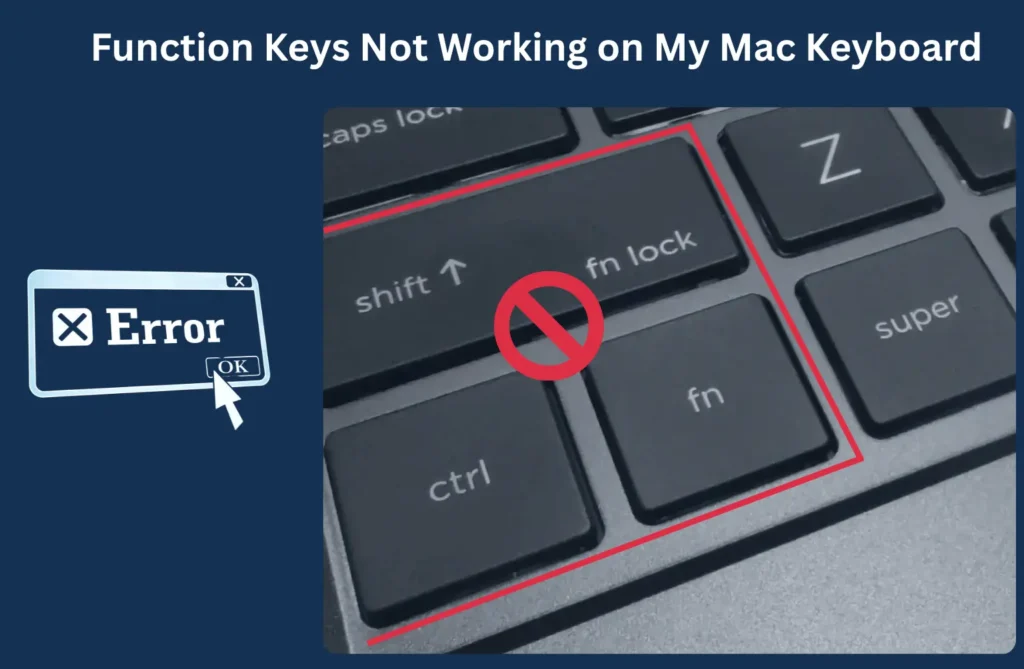 Why Are the Function Keys Not Working on My Mac Keyboard? Why Are the Function Keys Not Working on My Mac Keyboard